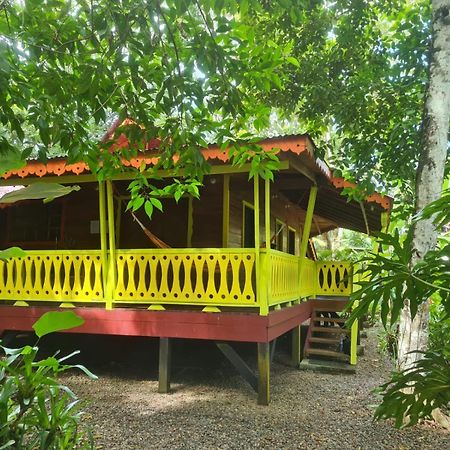 El Jardin De Playa Negra Villa Puerto Viejo de Talamanca Kültér fotó