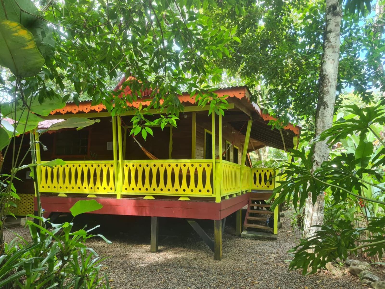 El Jardin De Playa Negra Villa Puerto Viejo de Talamanca Kültér fotó