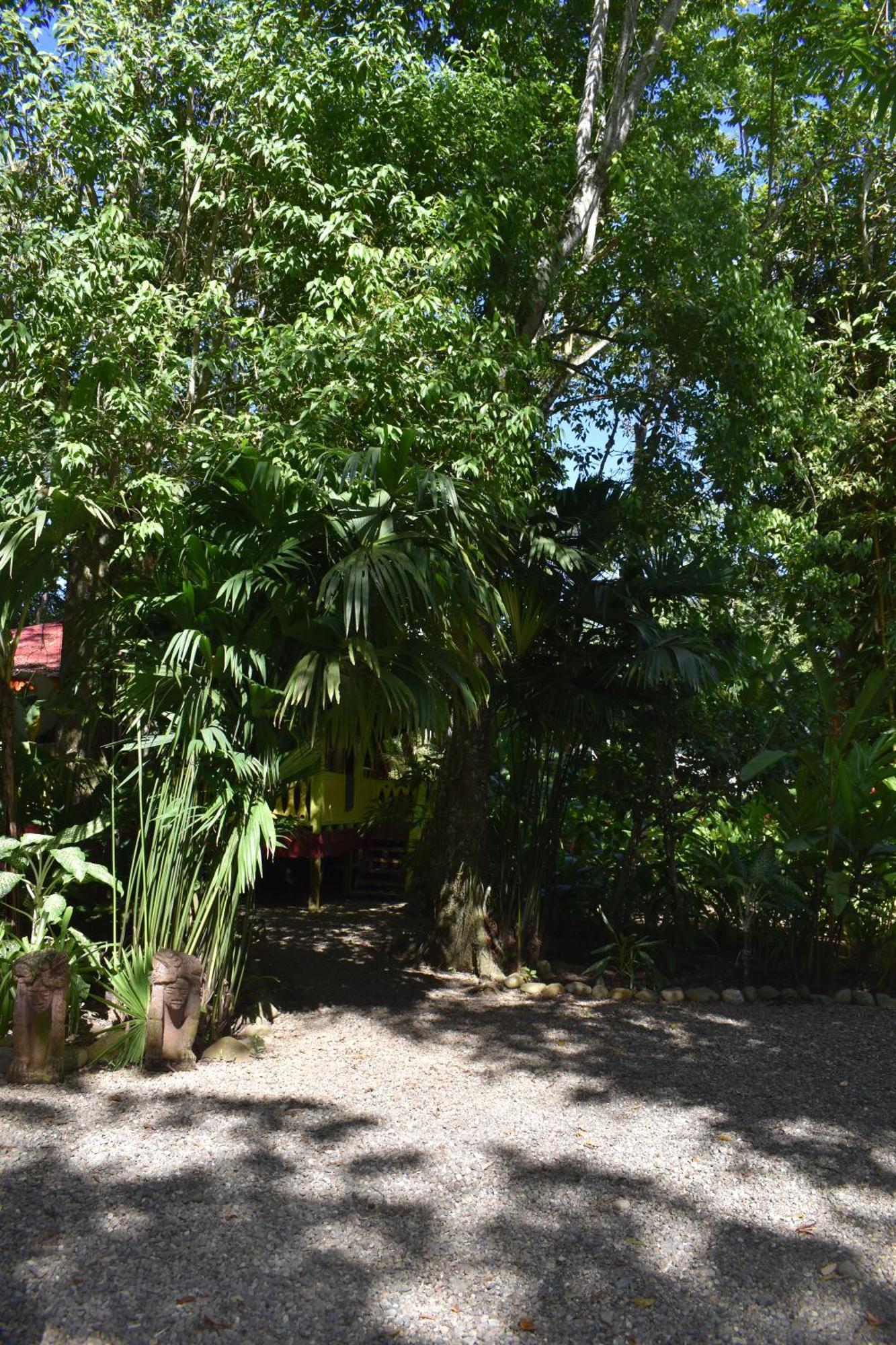 El Jardin De Playa Negra Villa Puerto Viejo de Talamanca Kültér fotó