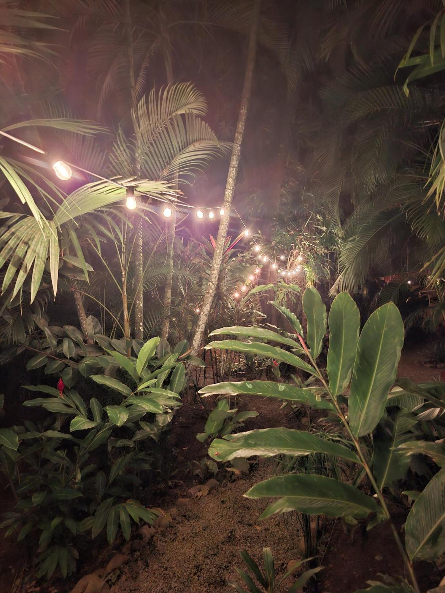 El Jardin De Playa Negra Villa Puerto Viejo de Talamanca Kültér fotó