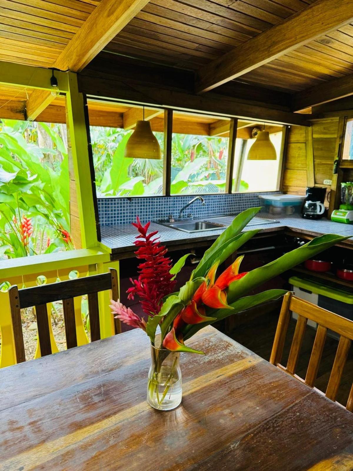 El Jardin De Playa Negra Villa Puerto Viejo de Talamanca Kültér fotó