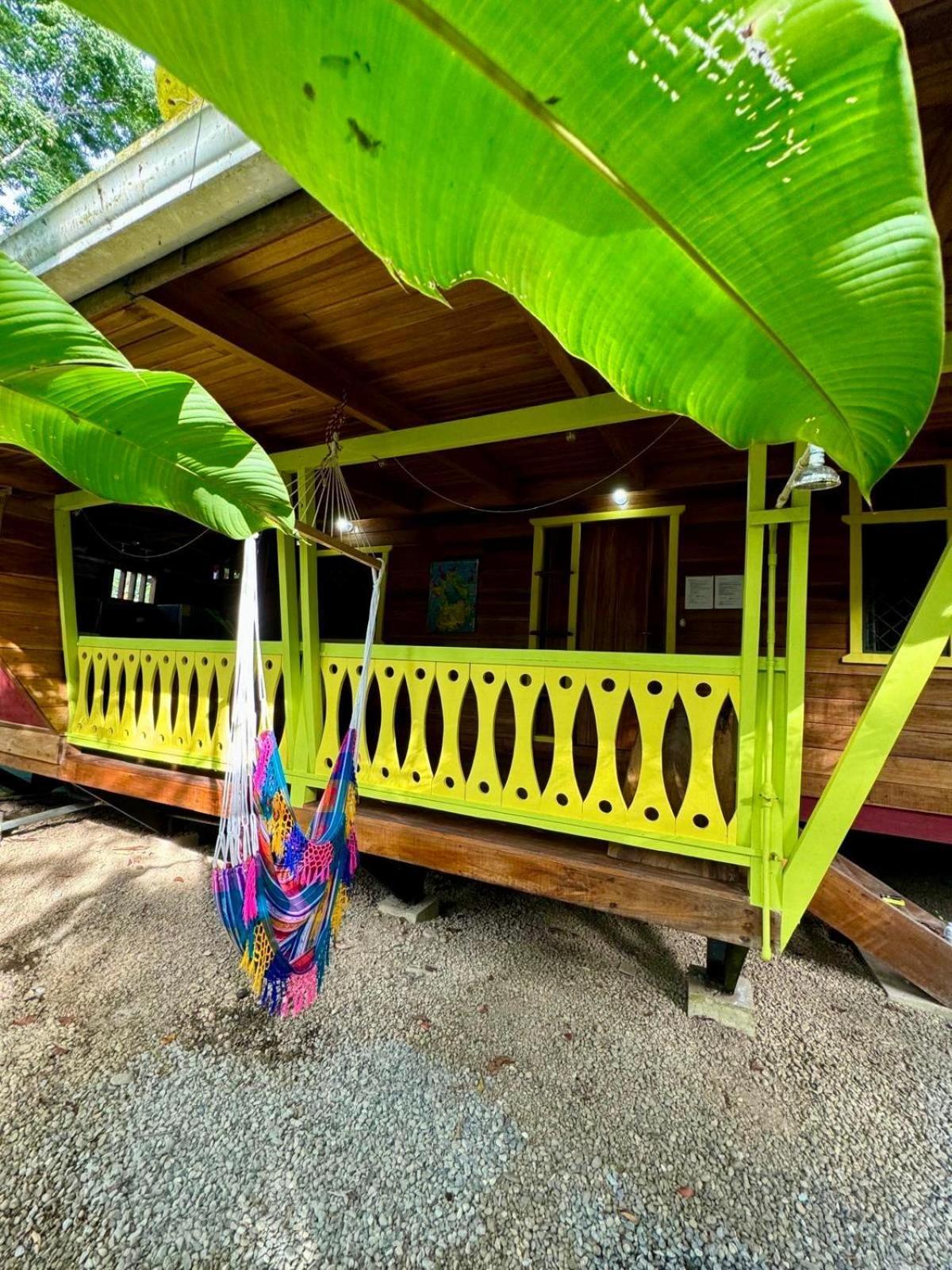 El Jardin De Playa Negra Villa Puerto Viejo de Talamanca Kültér fotó