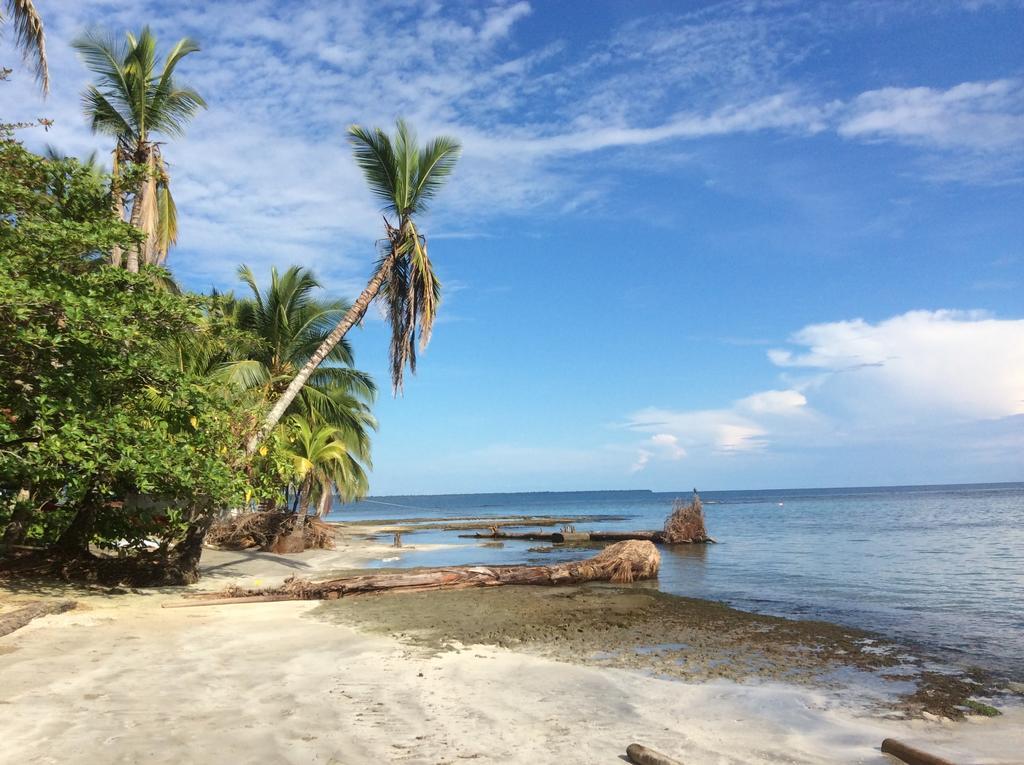 El Jardin De Playa Negra Villa Puerto Viejo de Talamanca Kültér fotó
