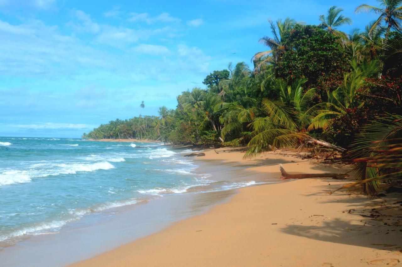 El Jardin De Playa Negra Villa Puerto Viejo de Talamanca Kültér fotó